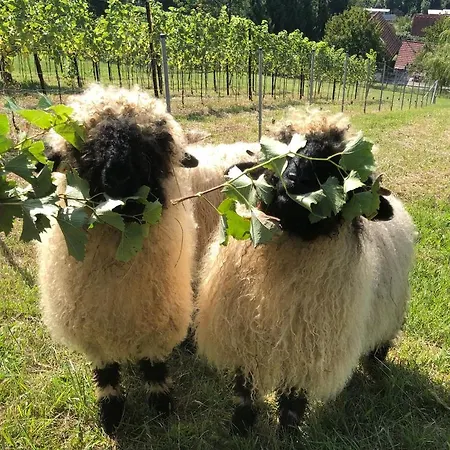 Oda ve Kahvaltı Boutique-hotel Maison 41 - Adults Only Bad Gleichenberg