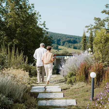 Bed & Breakfast Boutique-hotel Maison 41 - Adults Only